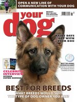 Your Dog